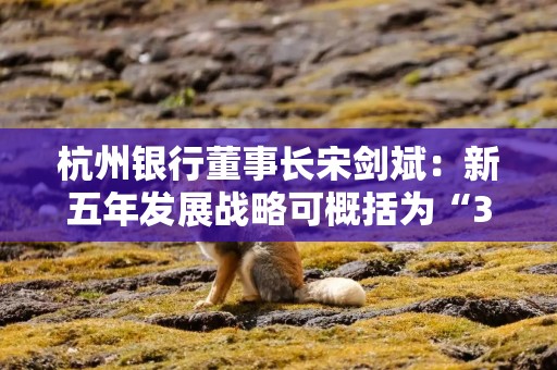 杭州银行董事长宋剑斌：新五年发展战略可概括为“3366”