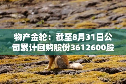 物产金轮：截至8月31日公司累计回购股份3612600股