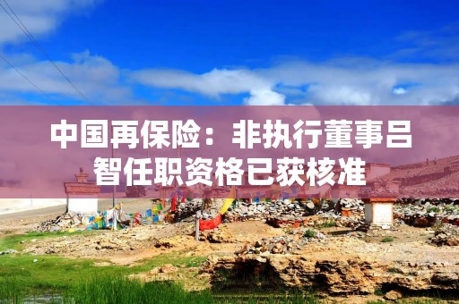 中国再保险：非执行董事吕智任职资格已获核准