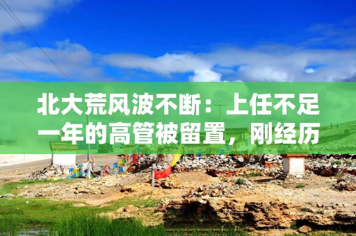 北大荒风波不断：上任不足一年的高管被留置，刚经历14亿补税事件