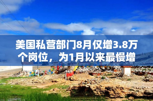 美国私营部门8月仅增3.8万个岗位，为1月以来最慢增速