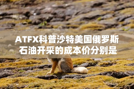 ATFX科普沙特美国俄罗斯 石油开采的成本价分别是多少