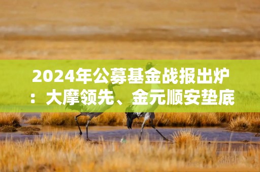 2024年公募基金战报出炉：大摩领先、金元顺安垫底 7只百亿基金年内亏损