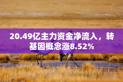 20.49亿主力资金净流入，转基因概念涨8.52%