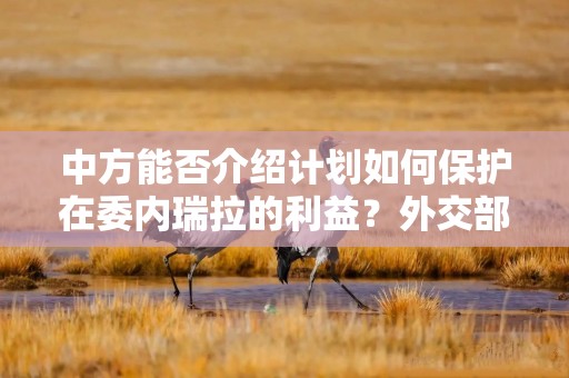 中方能否介绍计划如何保护在委内瑞拉的利益？外交部回应