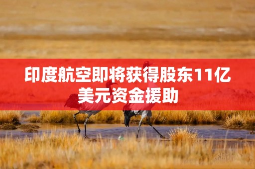 印度航空即将获得股东11亿美元资金援助