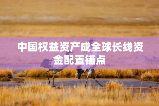 中国权益资产成全球长线资金配置锚点