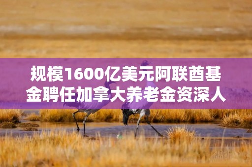 规模1600亿美元阿联酋基金聘任加拿大养老金资深人士担任关键岗位