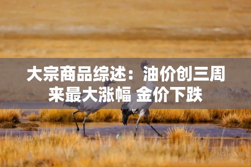 大宗商品综述：油价创三周来最大涨幅 金价下跌