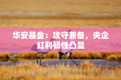 华安基金：攻守兼备，央企红利韧性凸显