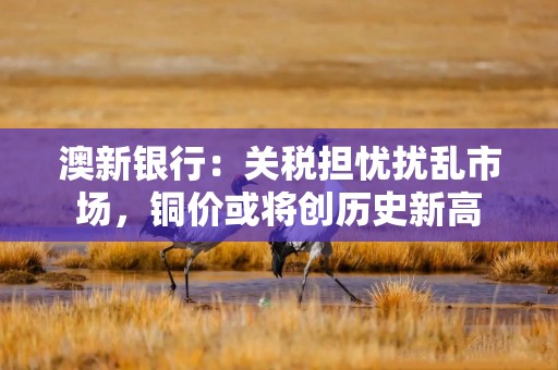 澳新银行：关税担忧扰乱市场，铜价或将创历史新高