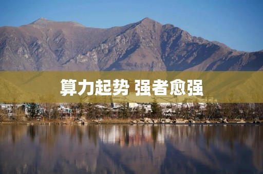算力起势 强者愈强