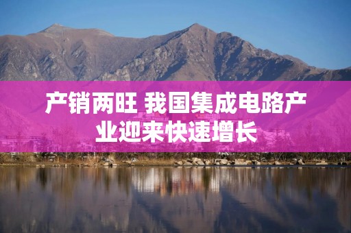 产销两旺 我国集成电路产业迎来快速增长