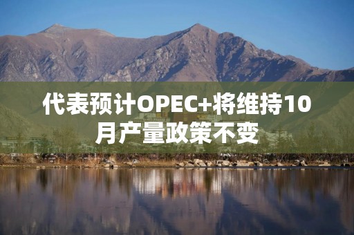 代表预计OPEC+将维持10月产量政策不变