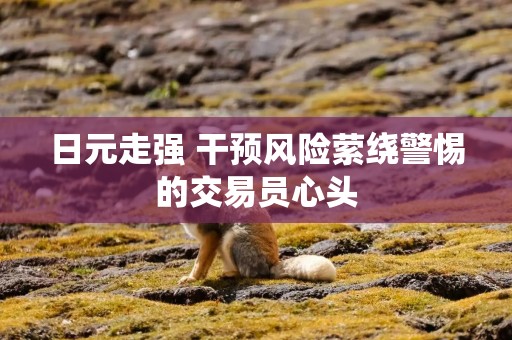 日元走强 干预风险萦绕警惕的交易员心头