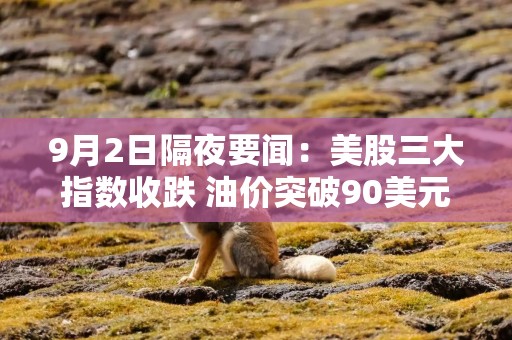 9月2日隔夜要闻：美股三大指数收跌 油价突破90美元 金价下挫 美军称完成一波针对伊朗军事目标的打击行动