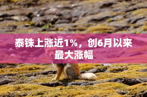 泰铢上涨近1%，创6月以来最大涨幅