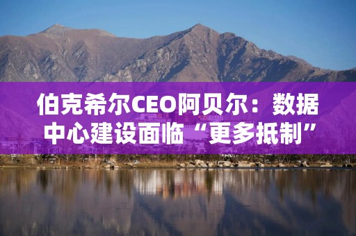 伯克希尔CEO阿贝尔：数据中心建设面临“更多抵制”