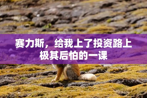 赛力斯，给我上了投资路上极其后怕的一课