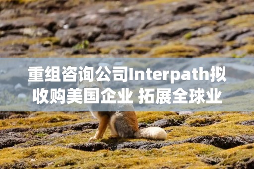 重组咨询公司Interpath拟收购美国企业 拓展全球业务版图