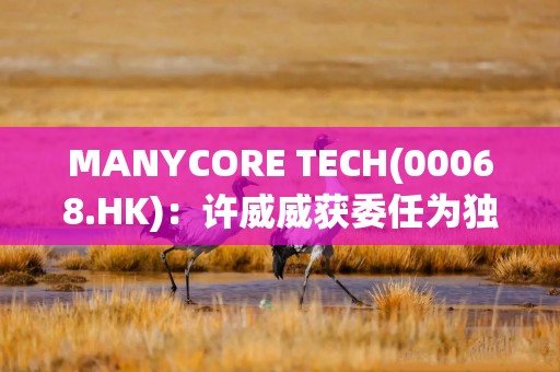 MANYCORE TECH(00068.HK)：许威威获委任为独立非执行董事