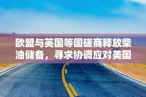 欧盟与英国等国磋商释放柴油储备，寻求协调应对美国出口限制压力