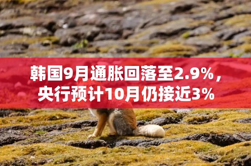 韩国9月通胀回落至2.9%，央行预计10月仍接近3%