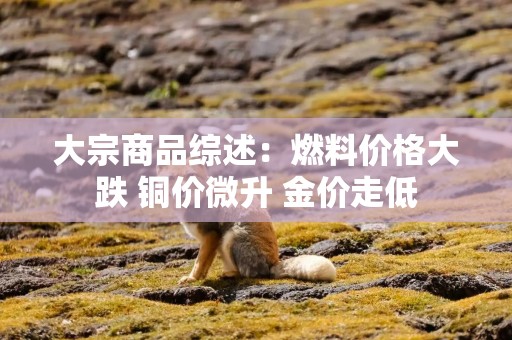 大宗商品综述：燃料价格大跌 铜价微升 金价走低