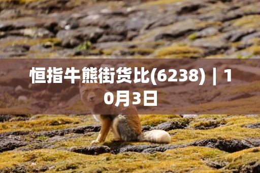 恒指牛熊街货比(6238)︱10月3日