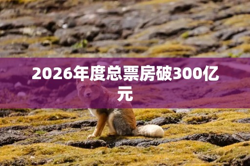 2026年度总票房破300亿元