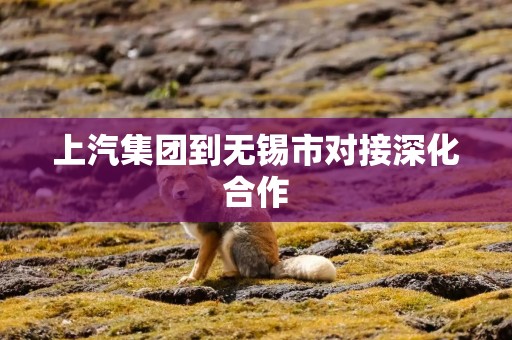 上汽集团到无锡市对接深化合作