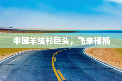 中国羊绒衫巨头，飞来横祸