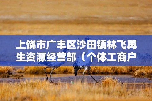 上饶市广丰区沙田镇林飞再生资源经营部（个体工商户）成立 注册资本5万人民币