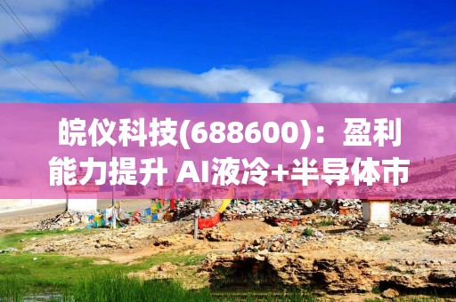 皖仪科技(688600)：盈利能力提升 AI液冷+半导体市场开拓成效显著