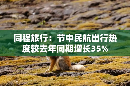 同程旅行：节中民航出行热度较去年同期增长35%