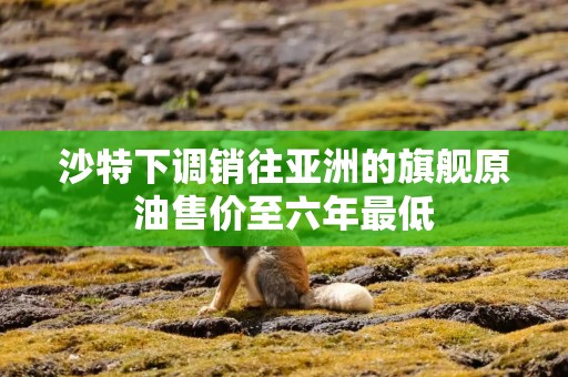 沙特下调销往亚洲的旗舰原油售价至六年最低