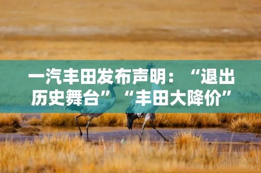一汽丰田发布声明：“退出历史舞台”“丰田大降价”等言论不实