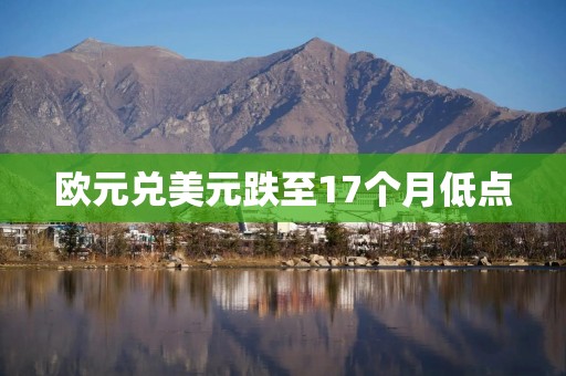 欧元兑美元跌至17个月低点