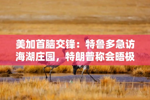 美加首脑交锋：特鲁多急访海湖庄园，特朗普称会晤极具成效