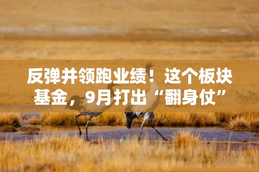 反弹并领跑业绩！这个板块基金，9月打出“翻身仗”