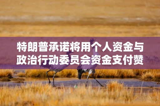 特朗普承诺将用个人资金与政治行动委员会资金支付赞美他的广告费用