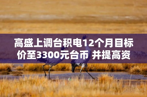高盛上调台积电12个月目标价至3300元台币 并提高资本支出预测