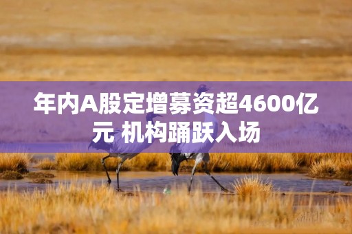 年内A股定增募资超4600亿元 机构踊跃入场