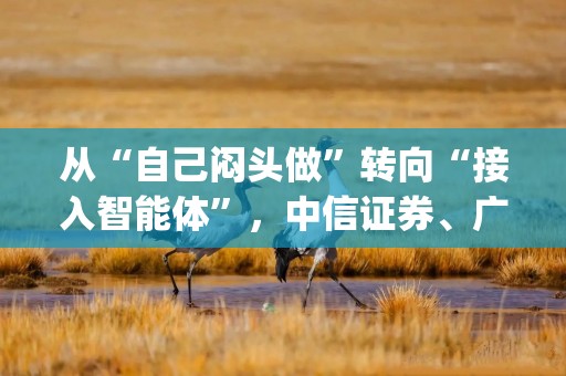 从“自己闷头做”转向“接入智能体”，中信证券、广发证券、中信建投、国泰海通纷纷行动 券业迈入Agent时代