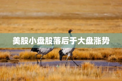 美股小盘股落后于大盘涨势