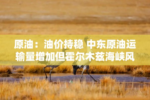 原油：油价持稳 中东原油运输量增加但霍尔木兹海峡风险上升