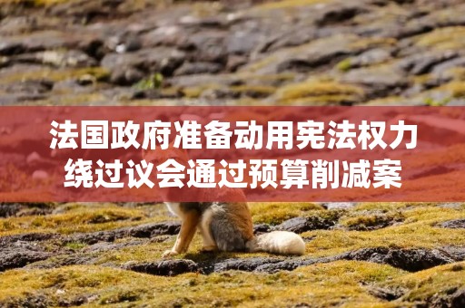 法国政府准备动用宪法权力绕过议会通过预算削减案