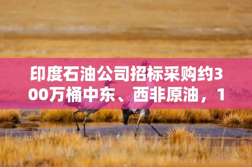 印度石油公司招标采购约300万桶中东、西非原油，11月到港