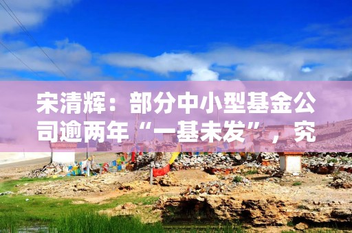 宋清辉：部分中小型基金公司逾两年“一基未发”，究竟什么原因？