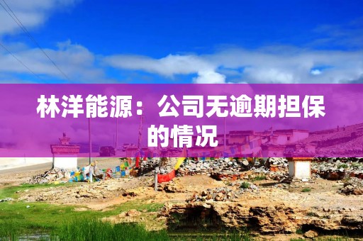 林洋能源：公司无逾期担保的情况